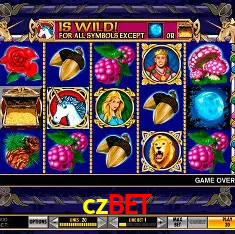 czbet Rio de Janeiro - Bonus Terms